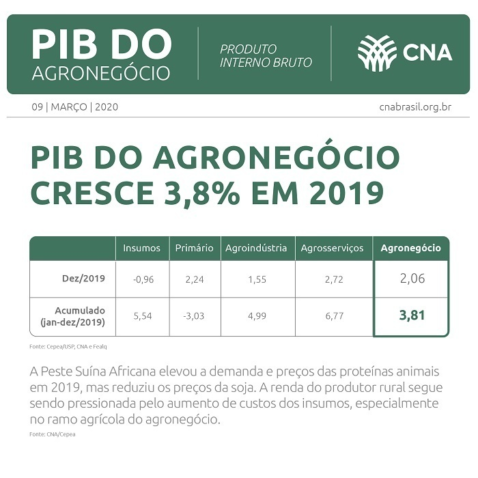 03 Infografico PIB 900x900px CNA 2020