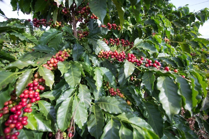 28235142608 6df186b1bb c