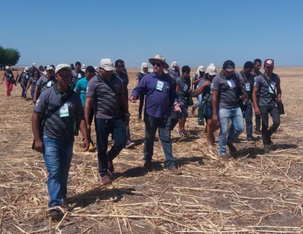 Dia de campo Baixa Grande