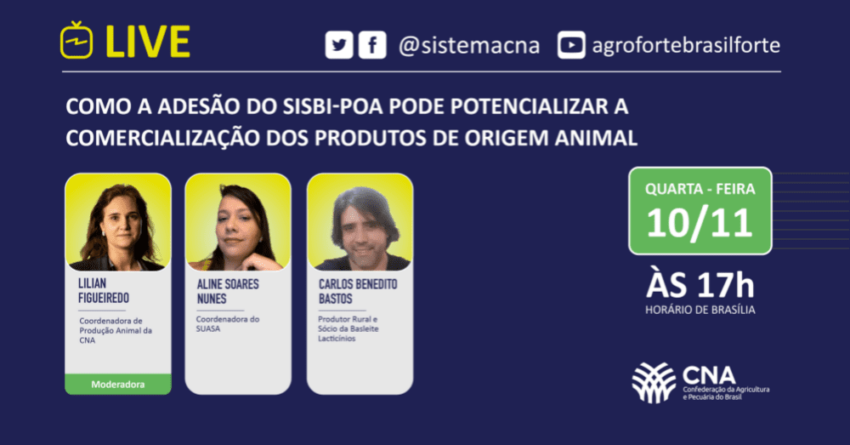 Como a adesao do SISBI POA