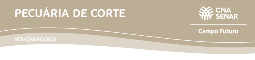 Pecuariadecorte novembro21 bovinocultura