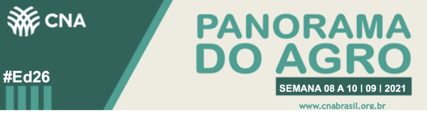 Banner panorama agro 08 a 10 set 20201