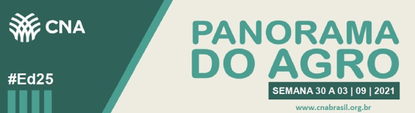 Banner Panorama do Agro 30 a 03 09