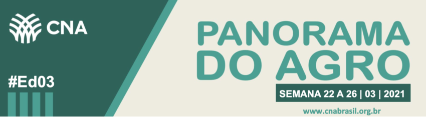 Banner panorama ed03