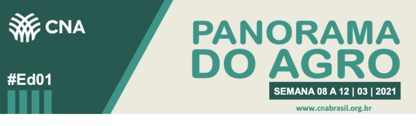 Banner panorama ed01 210327 142521