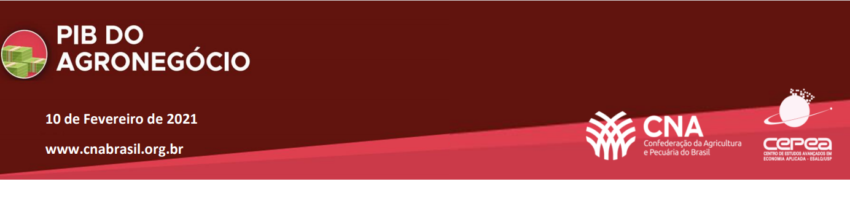 Pib agro fevereiro 2021