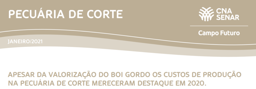 Pecuaria de corte campo futuro 21