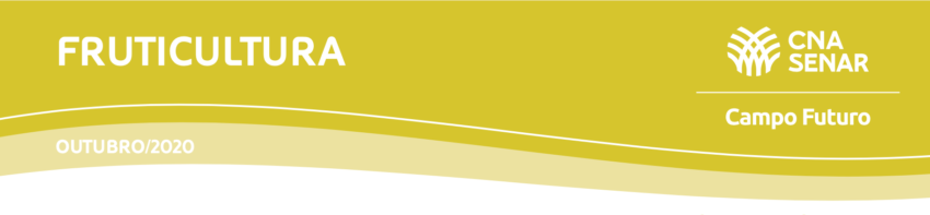 Ativo campo fruta out 2020