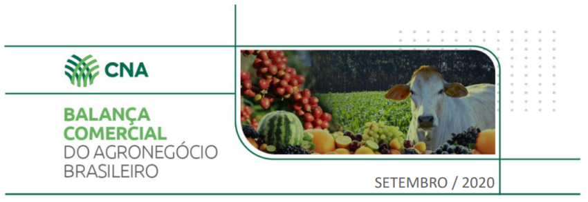 Capa bal com set 2020