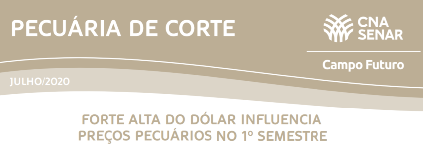 Pec corte julho 2020