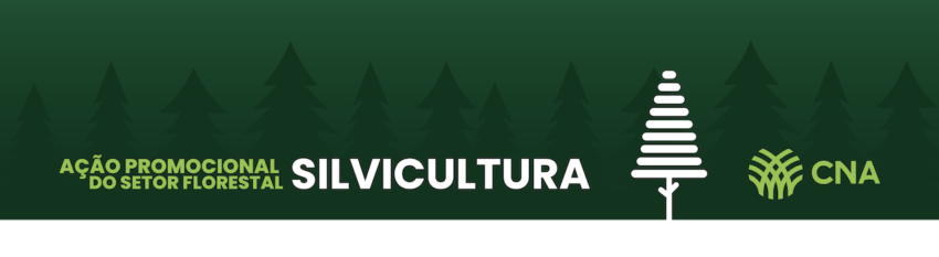 Captura de Tela 2021 12 10 as 17 06 28