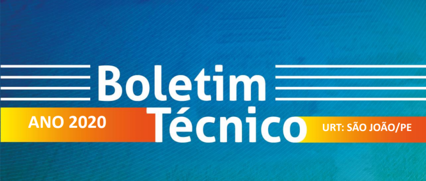 Capa urt sao joao pe