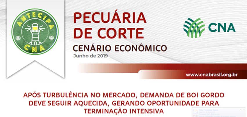 Peccorteantecipajulho