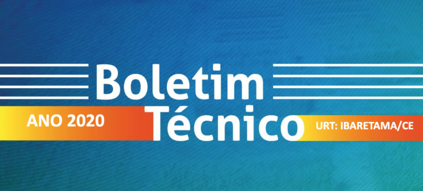 05 Boletim 2020 URT Ibaretama CE banner