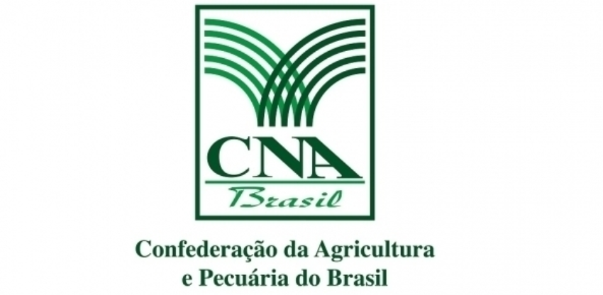 Cna logo noticias 1 1
