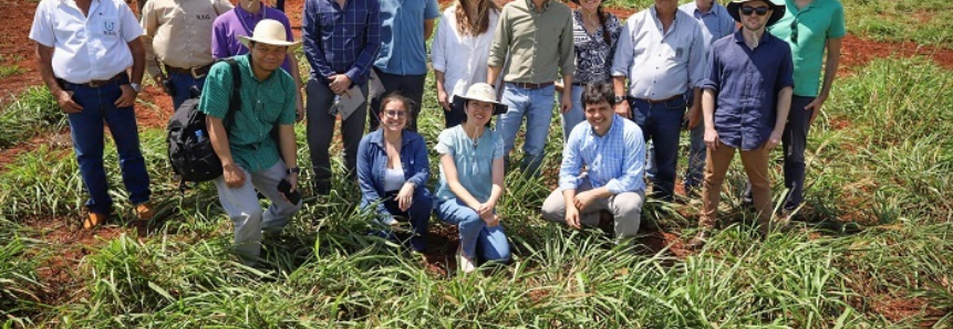 Missão do AgroBrazil conhece produção integrada de bovinos e grãos em Caarapó (MS)