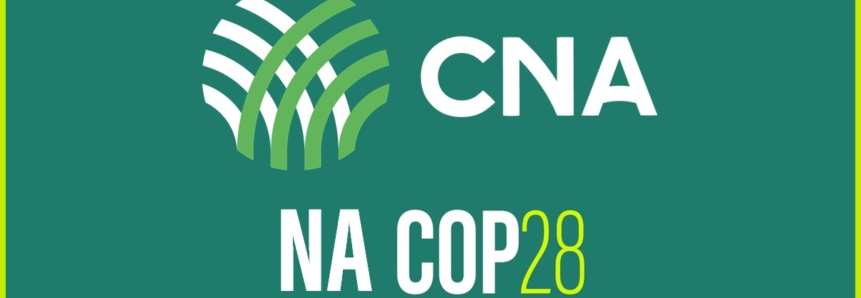 CNA leva à COP compromisso do Agro com segurança alimentar, energética e climática