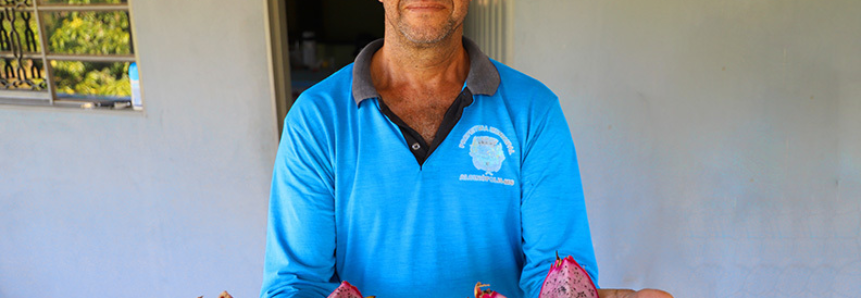 De eletricista a produtor rural: pitaya faz sucesso em Alcinópolis e atrai compradores até de outros estados