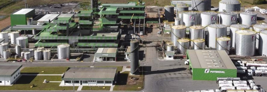 Estagnado, programa de biodiesel compromete campo e indústria