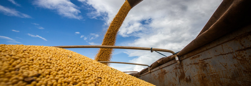 CNA apresenta ações prioritárias para produção de grãos
