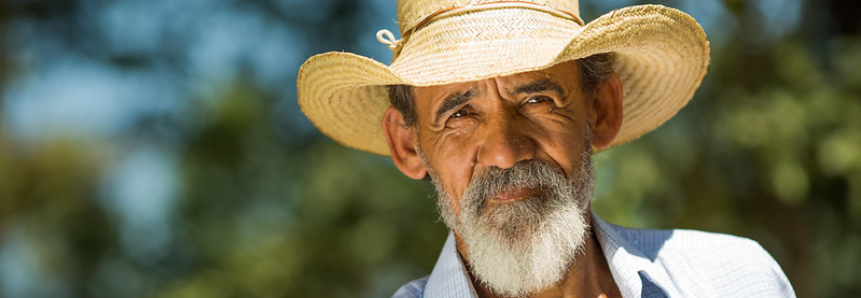 CNA promove live sobre aspectos práticos da aposentadoria rural