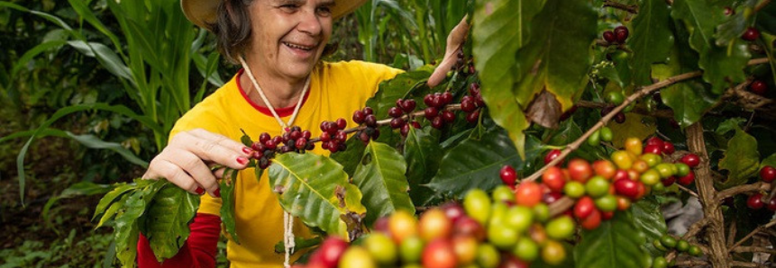 Projeto Agro.BR apresenta oportunidades e desafios para o café brasileiro na China