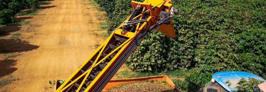 CNA: Ajustes na linha do Funcafé para recuperação de lavouras danificadas por geadas ajudará na retomada da cafeicultura