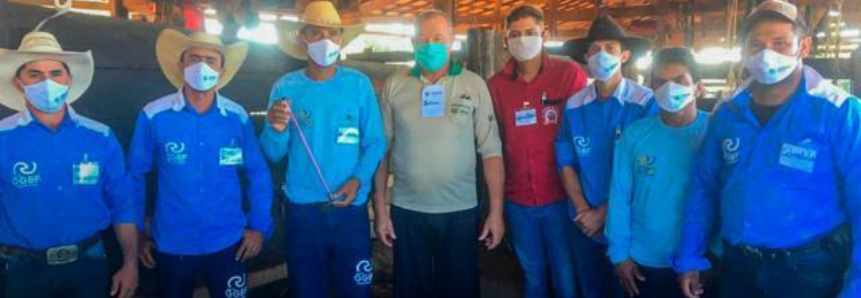 Trabalhadores rurais da Fazenda Rio Verde são capacitados no curso de Inseminação Artificial para Bovinos