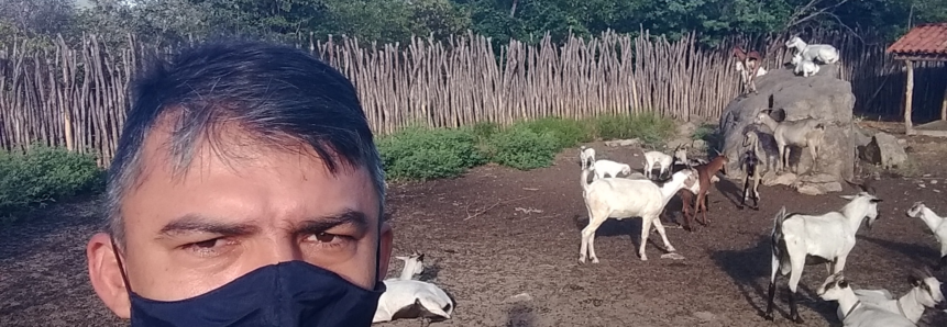 Com o apoio das ações do Programa AgroNordeste, ovinocaprinocultores de Itapipoca, no Ceará, se unem em prol da criação de uma cooperativa