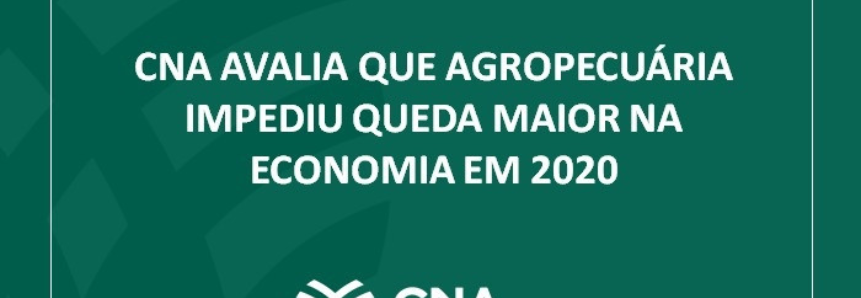 CNA avalia que agropecuária impediu queda maior na economia em 2020
