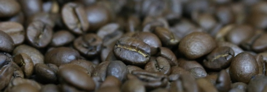 Campo Futuro analisa custos de produção de café
