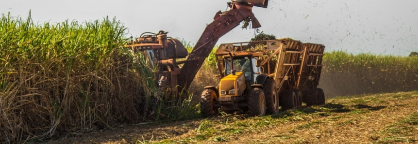 SENAR-PR realiza diagnóstico do plantio da cana-de-açúcar no Paraná