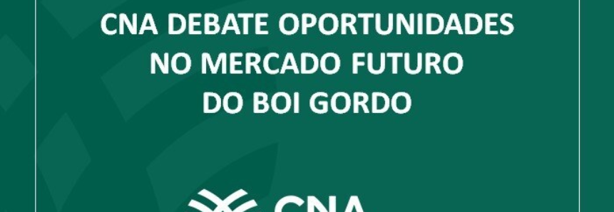 CNA debate oportunidades no mercado futuro do boi gordo