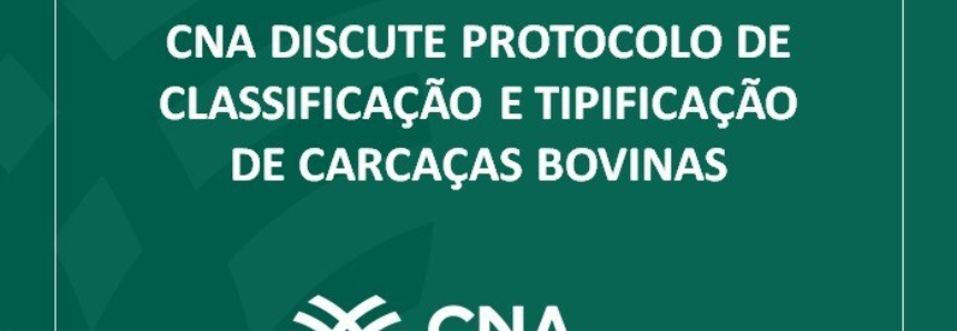 CNA discute protocolo de classificação e tipificação de carcaças bovinas