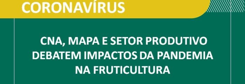 CNA, Mapa e setor produtivo debatem impactos da pandemia na fruticultura