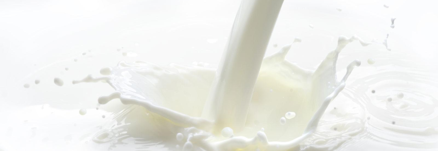 Mercado de lácteos do PR apresenta volatilidade em maio