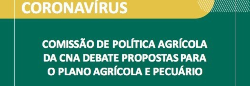 Comissão de Política Agrícola da CNA debate propostas para o Plano Agrícola e Pecuário