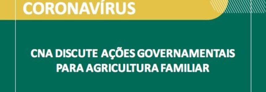 CNA discute ações governamentais para agricultura familiar