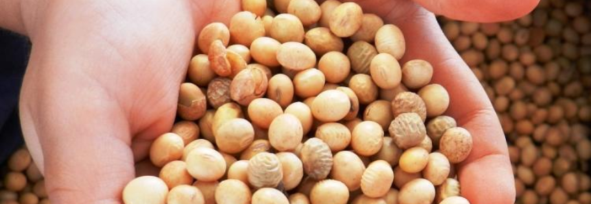 Curso de armazenagem de grãos qualifica mão de obra para crescente produção agrícola em MS