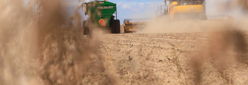 Metodologia da ATeG Grãos auxilia produtores de soja a aumentarem a produtividade e sustentabilidade nas lavouras de MS