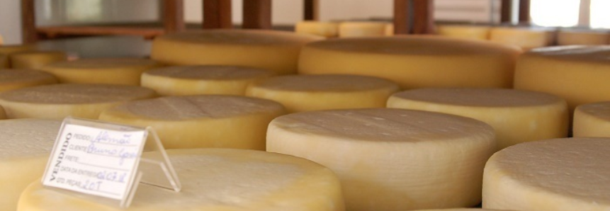 Assi﻿﻿﻿stência técnica: Senar abre inscrição para queijeiros do Alto Sertão