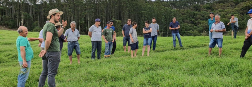 Balanço 2019: Com ATeG, 3,5 mil propriedades rurais aumentam a produtividade em SC