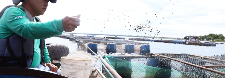 Cursos e Assistência Técnica e Gerencial do Senar/MS transformam pescadores em ‘empresários da piscicultura’