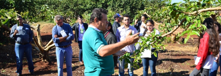 Fruticultura: em 2019, Senar/MS capacitou 5 alunos por dia