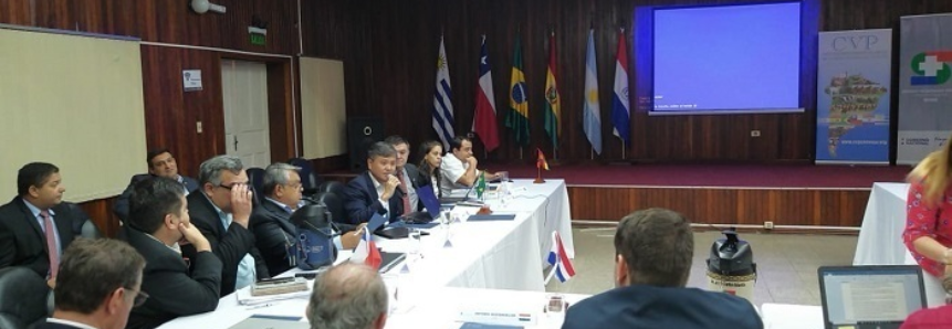 CNA discute ações de combate e controle de doenças animais no Paraguai