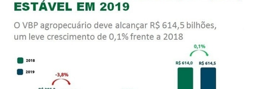 CNA prevê aumento de 7,2% no Valor Bruto da Produção pecuária em 2019
