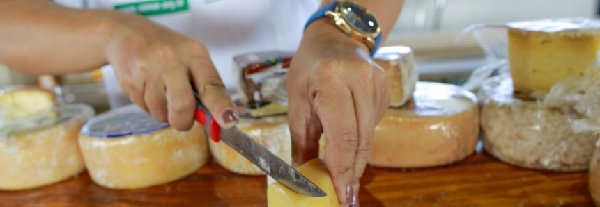Seminário discute produção de queijo artesanal em Sergipe