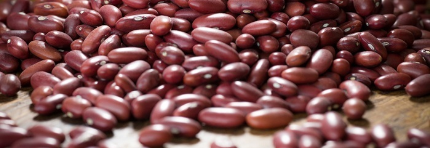 CNA promove encontro de produtores e exportadores de feijão e pulses