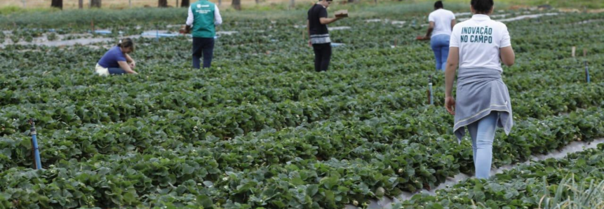 Programa Do Rural à Mesa integra produtores rurais e estudantes da área de gastronomia