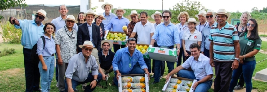Comitiva do AgroBrazil conhece produção de frutas em Barreiras (BA)